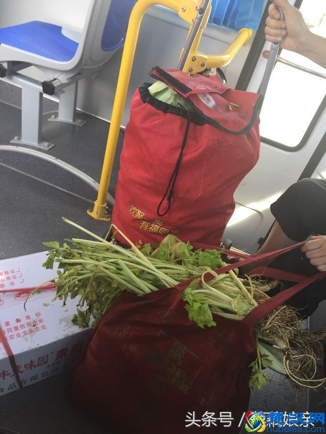 世风日下，人心不古，人的道德底线究竟有多低