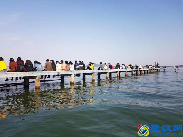 2020考研时间线：什么时候开始准备考研比较合适？