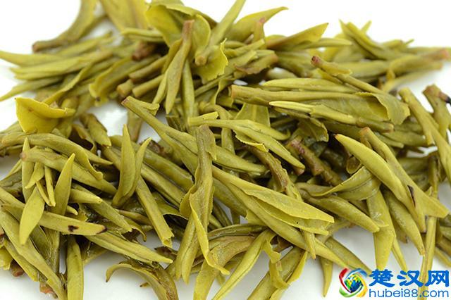 黄山毛峰属于什么茶 你知道它的功效吗