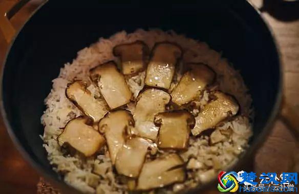 松茸吃法大全，松茸做法大全，全部在这里，收藏吧