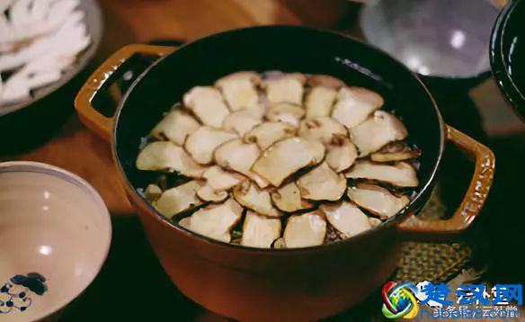 松茸吃法大全，松茸做法大全，全部在这里，收藏吧