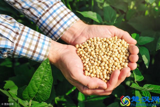 产后妊娠纹怎样彻底去除？快速祛斑的方法都在这