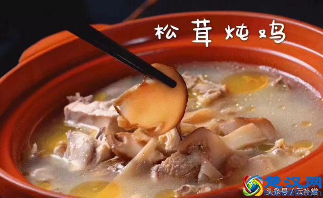 松茸吃法大全，松茸做法大全，全部在这里，收藏吧