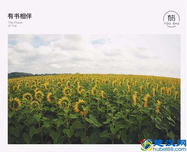 每天写工作计划和总结对成长真的很有帮助吗？