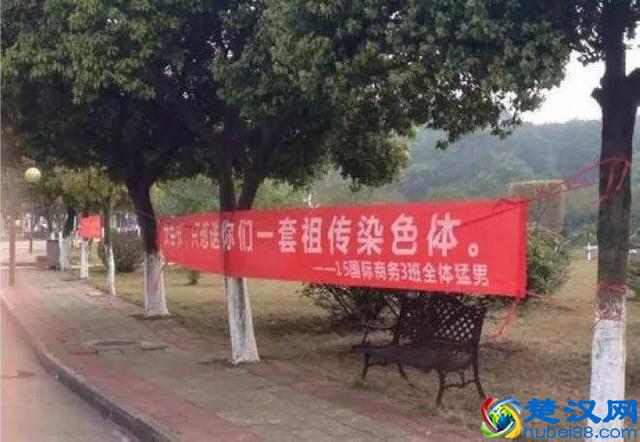 什么女生节女神节女王节？今天就过妇女节！