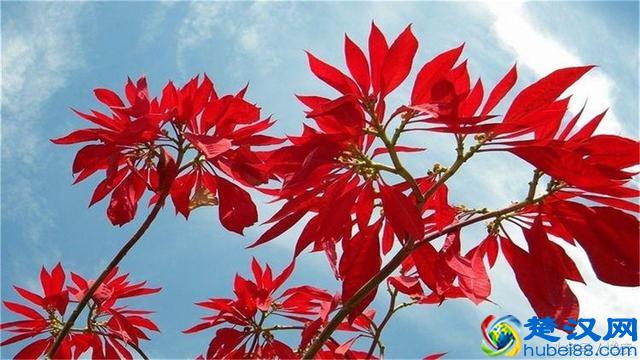 人生很短，生命无常，且行且珍惜！