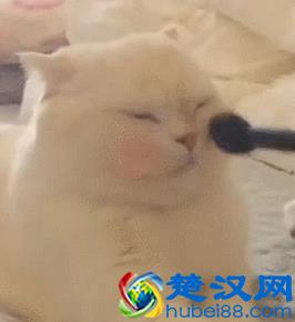 化妆用bb霜好还是用粉底液好？粉底液bb霜的区别到底是什么？