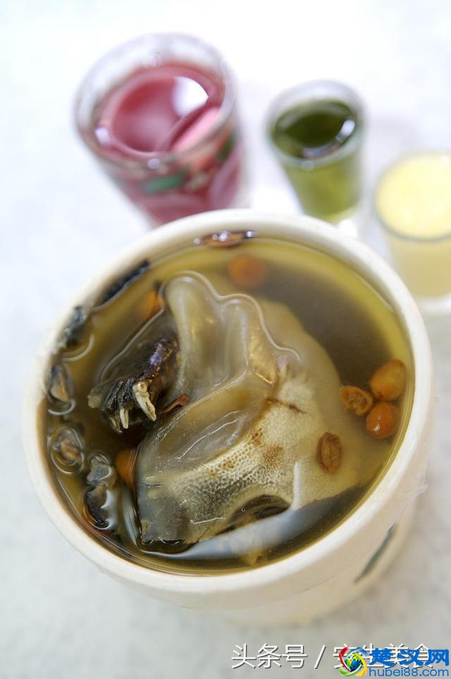 甲鱼的各种做法，一招让你烧出最美味的甲鱼！