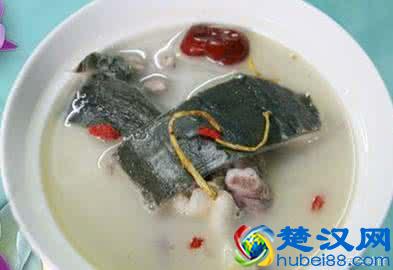 甲鱼的各种做法，一招让你烧出最美味的甲鱼！