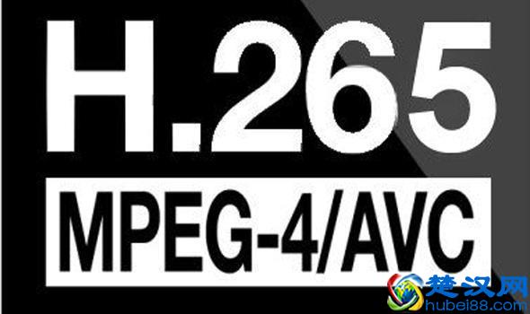  FLAC是什么？MKV有什么优点？常见的音频、视频格式都在这了
