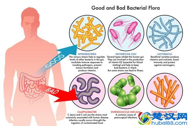 为何就你经常放屁？5个原因，快看看你属于哪个？
