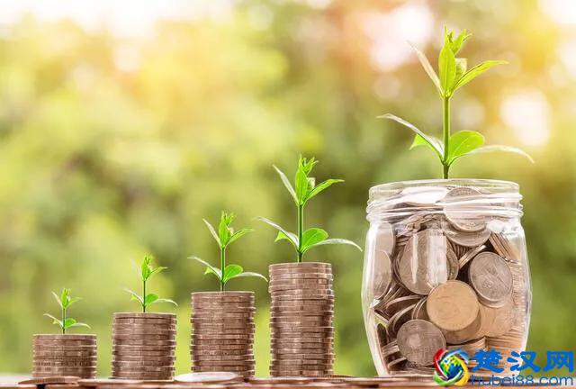 什么是职业经理人