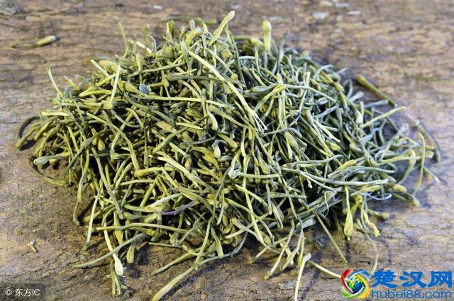 金银花泡水喝，好处多多，但这5大禁忌也得谨记在心