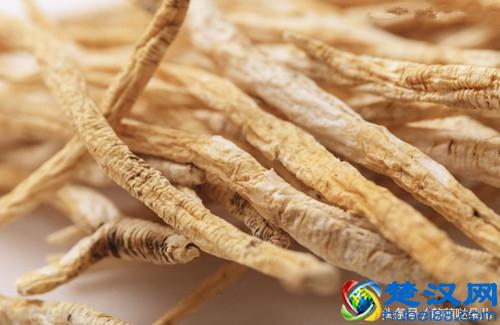 党参的功效与作用及禁忌