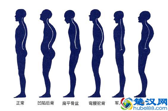 男生25岁想再长高5cm，关键看这里