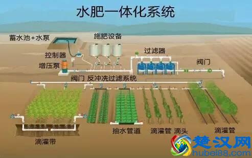 令人震撼的现代农业