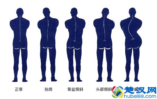 男生25岁想再长高5cm，关键看这里