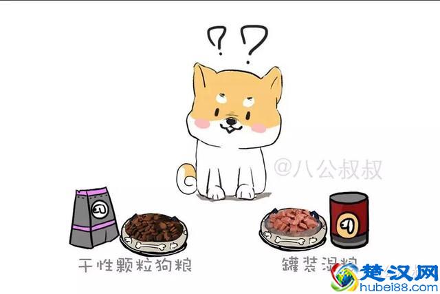 知识 · 狗粮那么多，到底怎么选？史上最强狗粮购买指南！