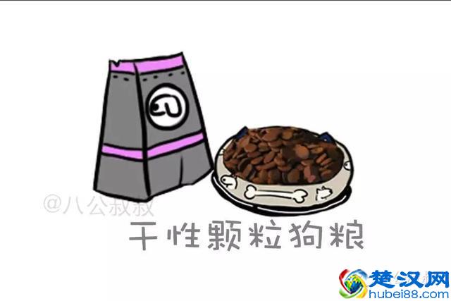 知识 · 狗粮那么多，到底怎么选？史上最强狗粮购买指南！