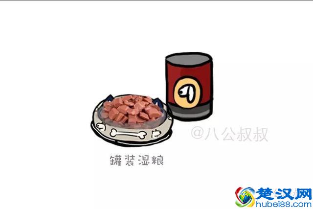 知识 · 狗粮那么多，到底怎么选？史上最强狗粮购买指南！