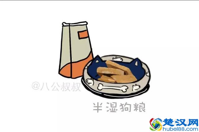 知识 · 狗粮那么多，到底怎么选？史上最强狗粮购买指南！