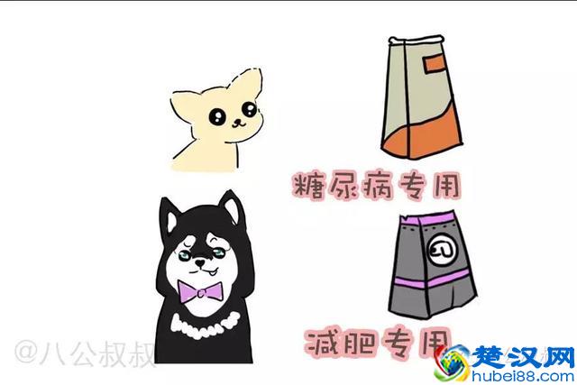 知识 · 狗粮那么多，到底怎么选？史上最强狗粮购买指南！