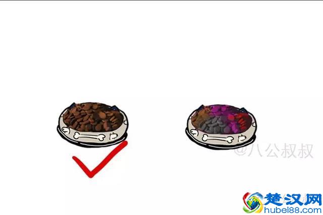 知识 · 狗粮那么多，到底怎么选？史上最强狗粮购买指南！