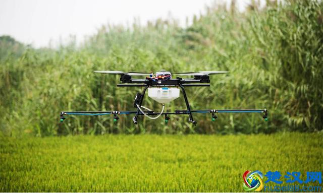 令人震撼的现代农业