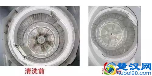 下水道清道夫，30秒通下水道！1粒消灭99.9%细菌和异味！