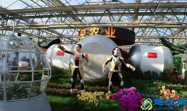 令人震撼的现代农业