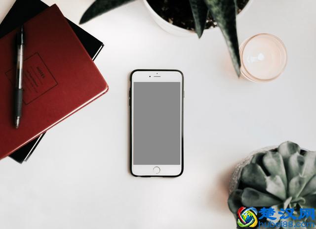 苹果手机水货和行货是什么意思？水货真的很“水”吗？