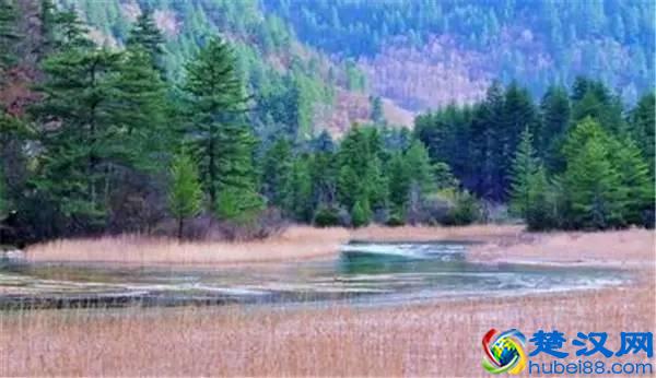 还在问什么时候去九寨沟最好，赶紧收藏吧！