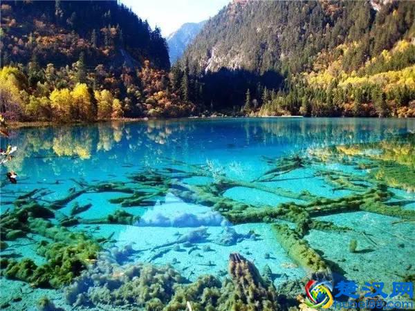 还在问什么时候去九寨沟最好，赶紧收藏吧！