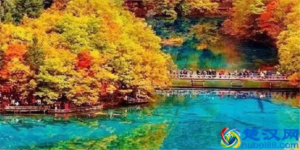 还在问什么时候去九寨沟最好，赶紧收藏吧！