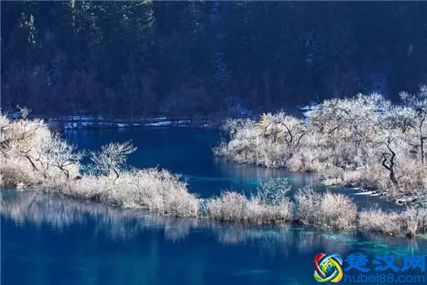 还在问什么时候去九寨沟最好，赶紧收藏吧！