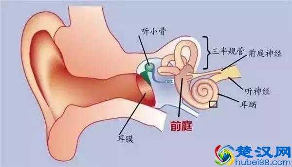 人为什么会晕车？如何坐车才不会晕？答案都在这里