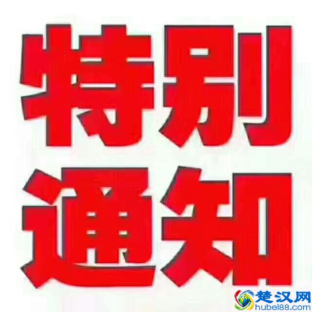 某航空公司驻山东区域商务代表