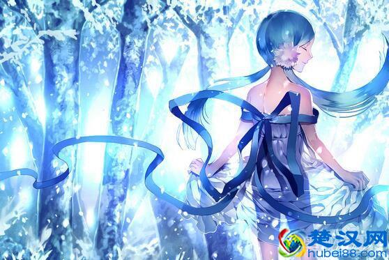 二次元是什么意思，二次元独特文化