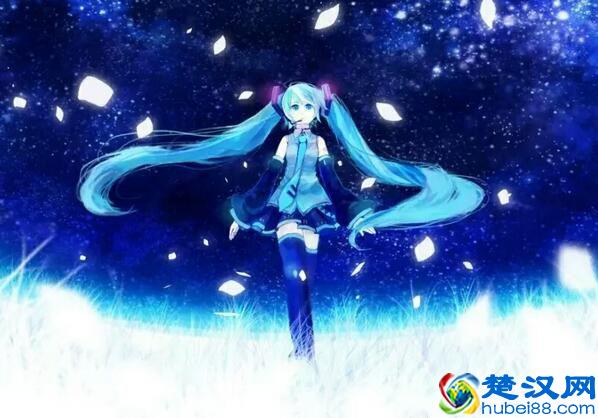 二次元是什么意思，二次元独特文化