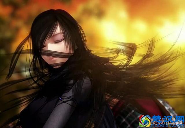 二次元是什么意思，二次元独特文化