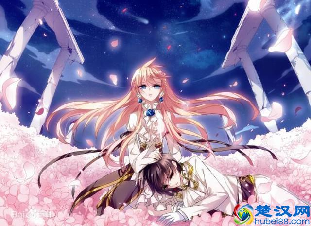 二次元是什么意思，二次元独特文化