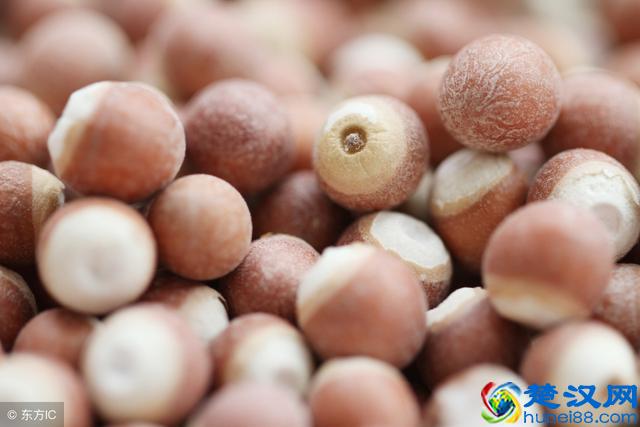 芡实怎么吃祛湿效果最好？推荐这4款食疗做法，拿走不谢