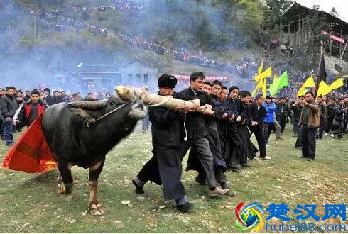 为什么要祭祀?祭祀的意义是什么?一种特别的祭祀活动引发的深思