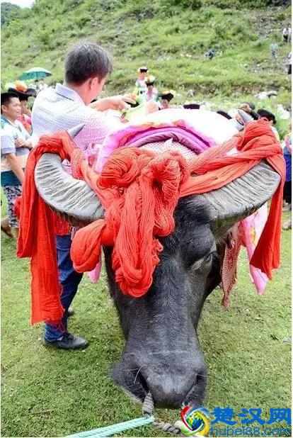 为什么要祭祀?祭祀的意义是什么?一种特别的祭祀活动引发的深思