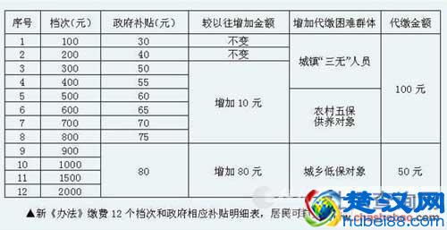 一篇文章详解，农村养老保险怎么交？交多少？领多少？