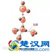 什么叫小分子团水