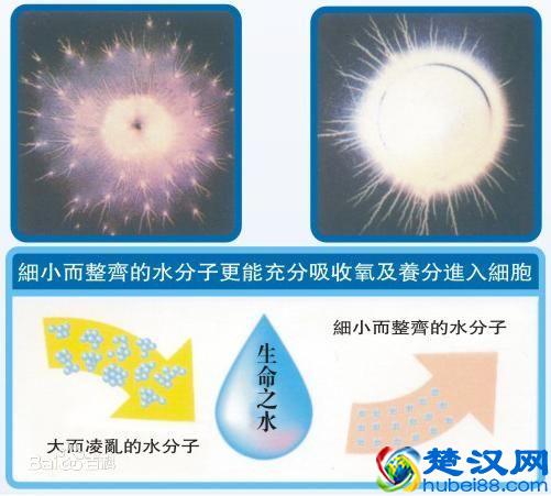 什么叫小分子团水