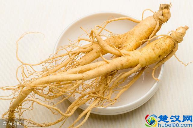 人参营养价值可不低，那怎么吃更好呢？推荐这4种食用方法