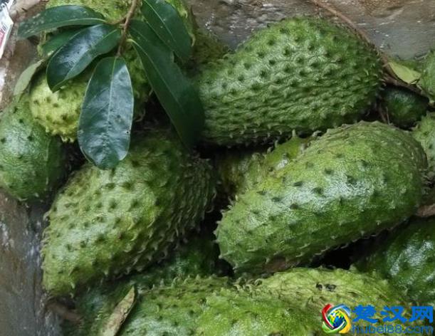 南方才有的5种水果，北方人见都没见过，你见过几种呢？