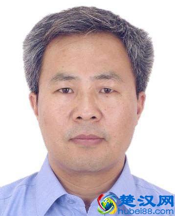 南航戴振东：仿生学研究需要与生物学家跨界交流，目前最缺的是人才